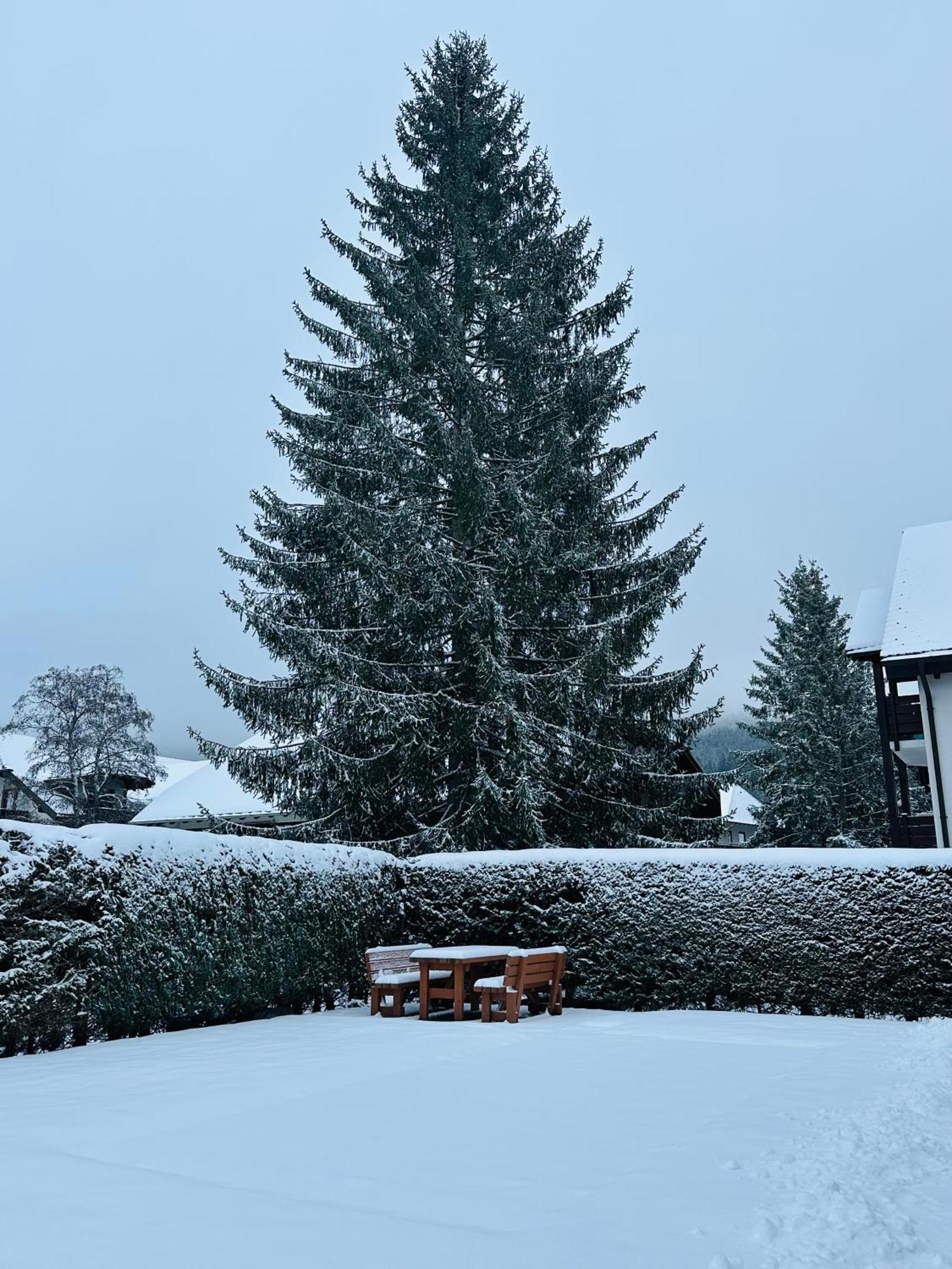 Ferienwohnung Niki Titisee-Neustadt Exterior foto
